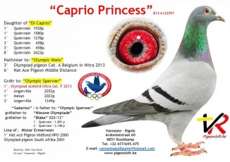 Caprio Princess
