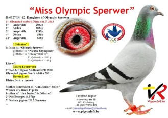 Miss Olympic Sperwer