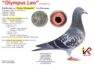 Olympus Leo 6123778-12