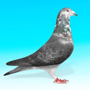 SK22-0708-357