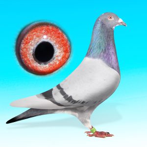 SK23-0701-425