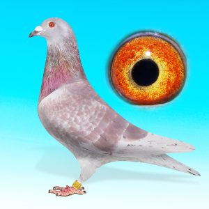 CZ24-049-637-VK.HÍM-ZEVLAKOV JUNIOR