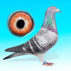 NL21-1527220-KK.HÍM-KOOPMANxBRAAD/ DE JODE