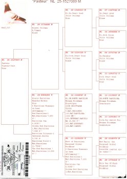 img20251203_14410695