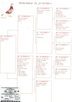 img20251203_15145845