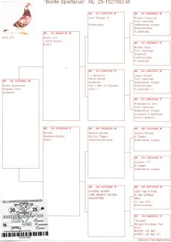 img20251203_15225656