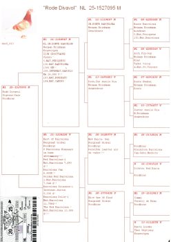 img20251203_15524843