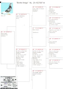 img20251204_10381333