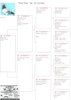 img20251204_10500146