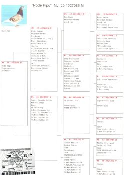 img20251204_11044964