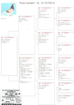 img20251204_11133806