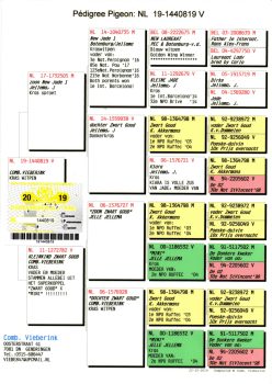 img20251207_19212780