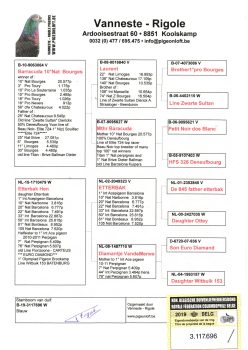 img20251207_19263974