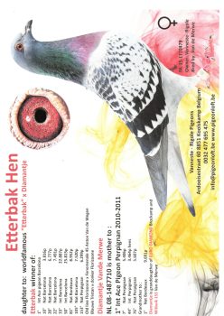 img20251207_19272730