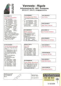 img20251207_19350647