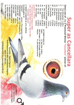 img20251207_19354734