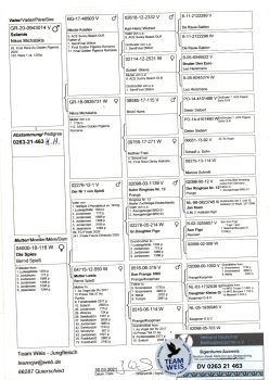 img20251207_20055059