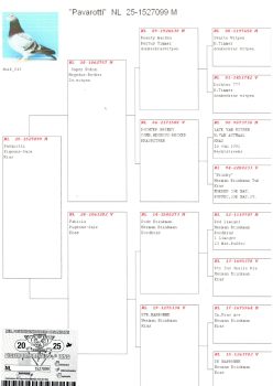 img20251207_20183646