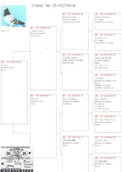 img20251207_20223286