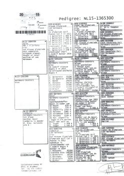 img20251212_14361000