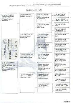 img20251212_14583102