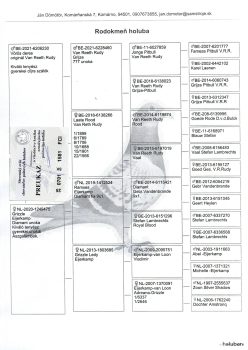 img20251212_17272121