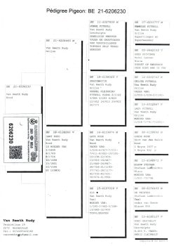 img20251212_17281324