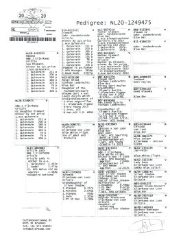 img20251212_17285470