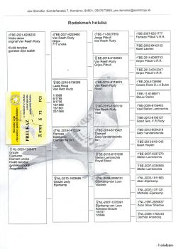 img20251212_18482044