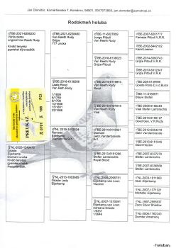 img20251212_19195944