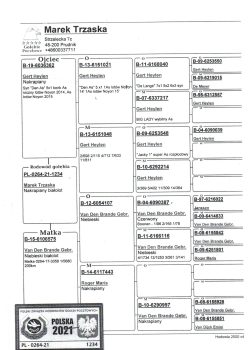 img20251212_19330451