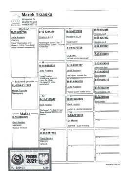 img20251212_19334309