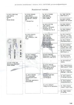 img20251220_19240870