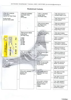 img20251220_19390442