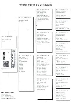 img20251220_19394906