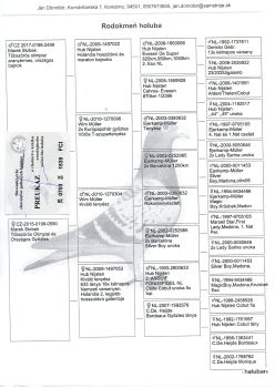 img20251220_20000874