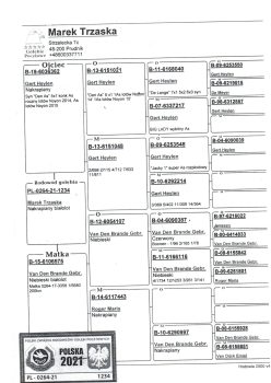 img20251220_20130693