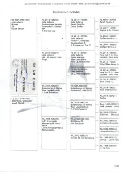 img20251220_20202026