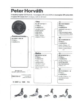 img20251220_20294622