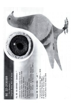 img20251225_09164276