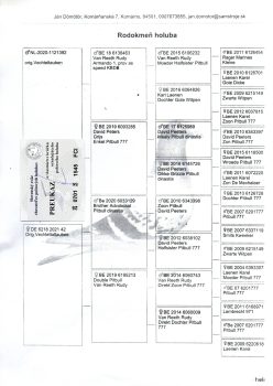 img20251225_09274356