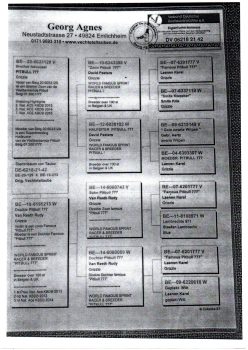 img20251225_09291474