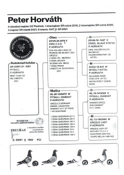 img20251225_09492911