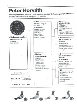 img20251225_09501300