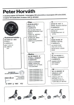 img20251225_15101483