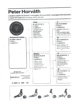 img20251225_15105278